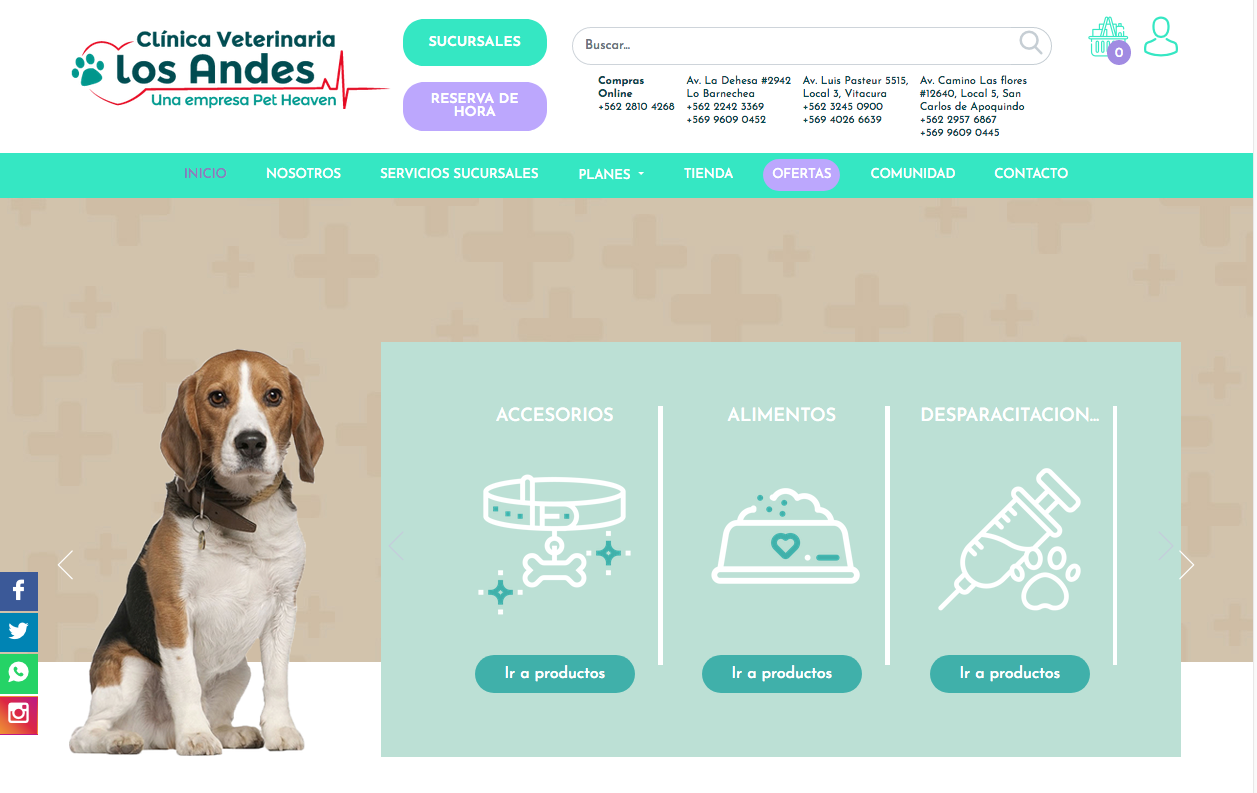 Examenes laboratorio mascotas