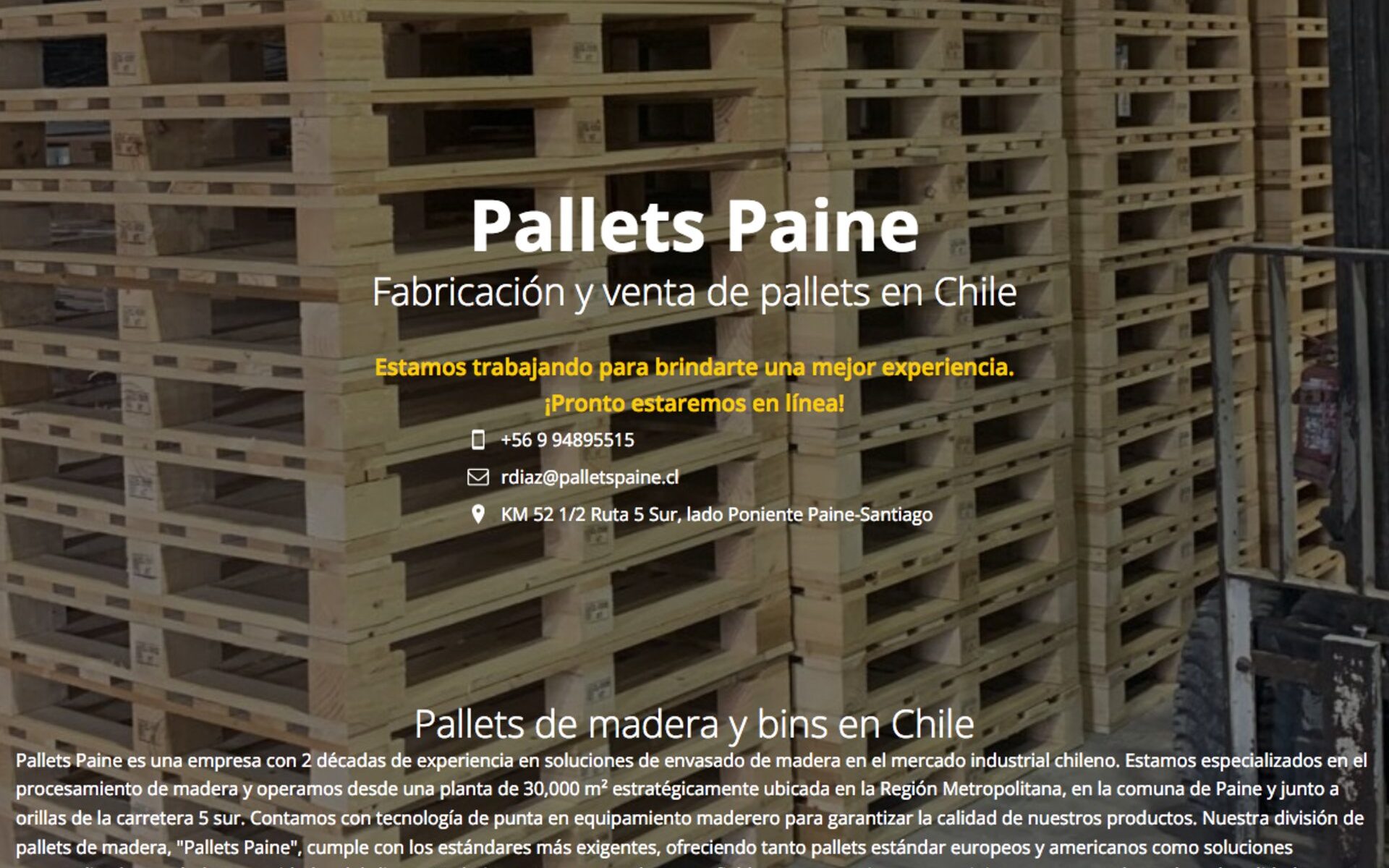 Euro pallets nuevos en chile